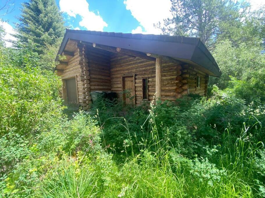 Aspen'S Cabin 威尔森 外观 照片